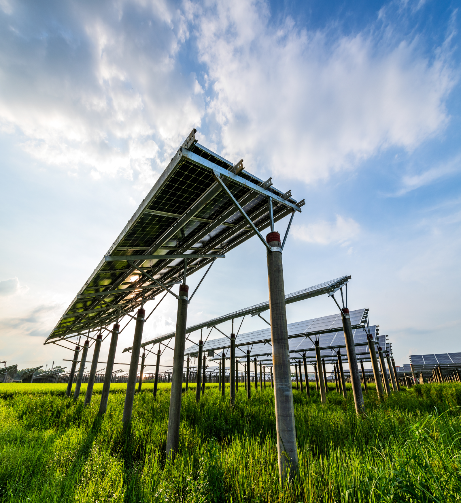 L’énergie Solaire : Une Solution Durable pour l’Avenir